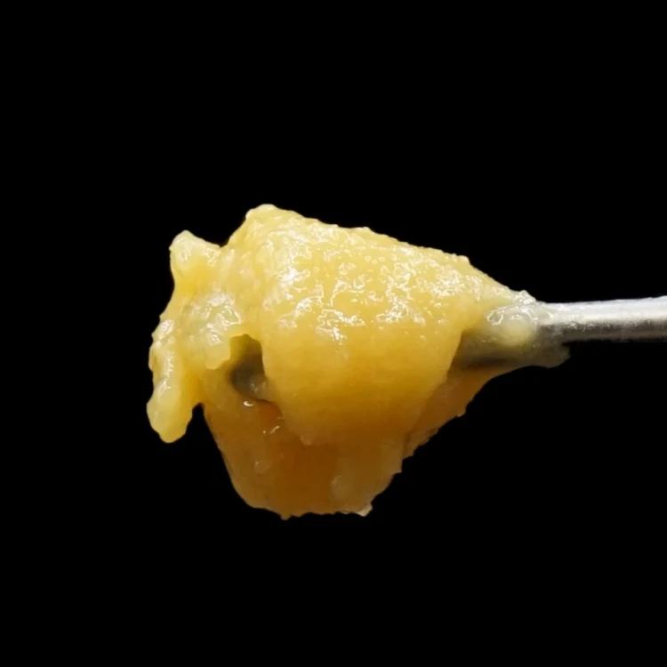 Bodega Bubblegum Live Resin