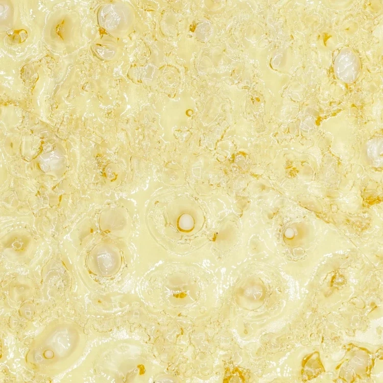 Dank Sinatra Shatter