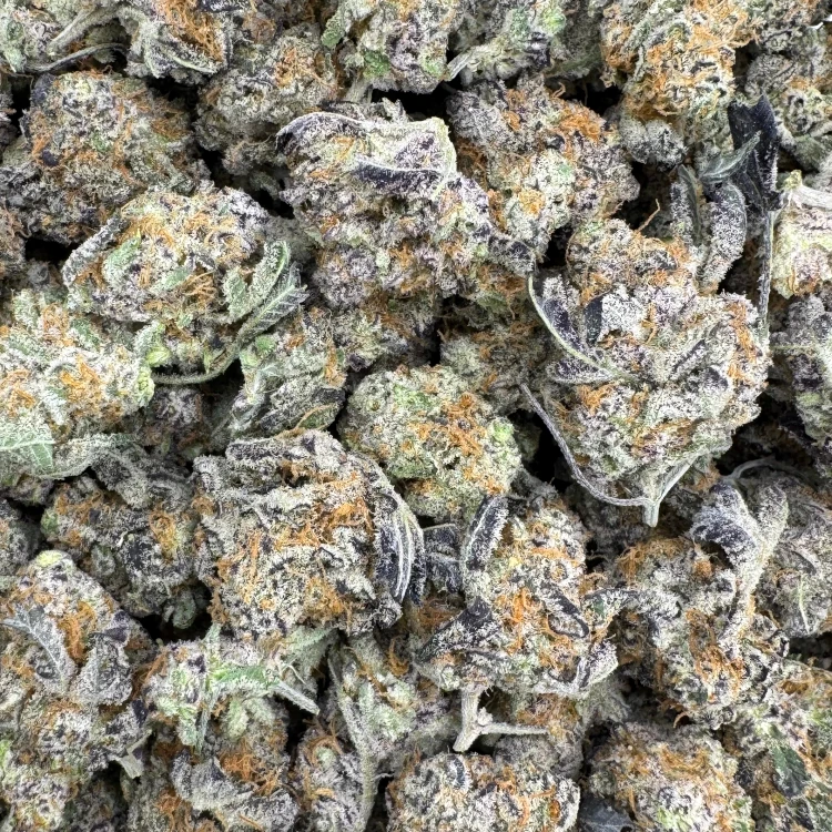 Purple Space Cookies Popcorn AAAA+ [EXOTIC!!]