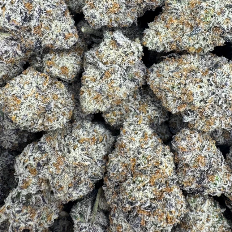 Vanilla Ice AAAA+