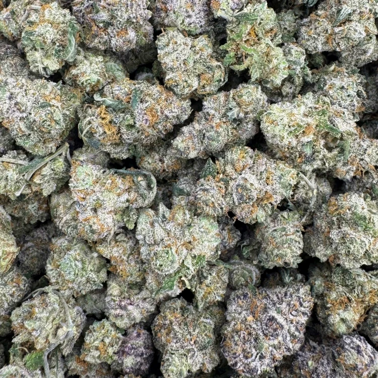 Tropic Slush Smalls AAAA+ [EXOTIC!!]